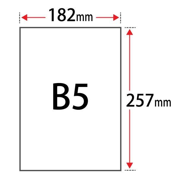 高い品質 レーザー用耐水紙 Msアクアw 両面 127 9g 平米 B5サイズ 4000枚 即日出荷 Www Technet 21 Org