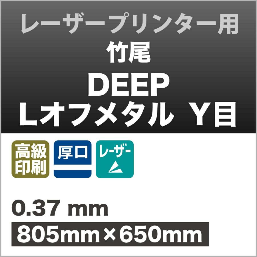 竹尾 DEEP Lオフメタル 315g 805×650mm 紙 絵画紙 水彩紙 印刷紙 写真
