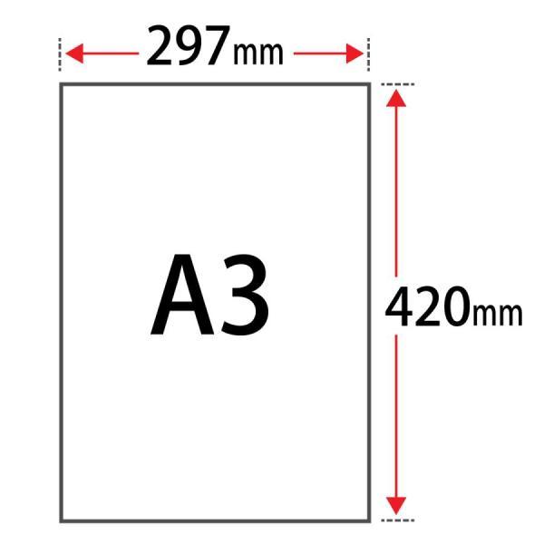 パール 紙 MSパール25 104.7g/平米 0.12mm A3サイズ：500枚手作り 招待状 用紙 キラキラ 印刷 ラメ 結婚式 印刷紙 印刷用紙_1