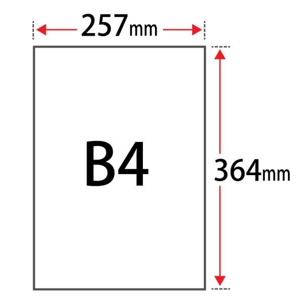 パール 紙 MSパール25 104.7g/平米 0.12mm B4サイズ：500枚手作り 招待状 用紙 キラキラ 印刷 ラメ 結婚式 印刷紙 印刷用紙_1