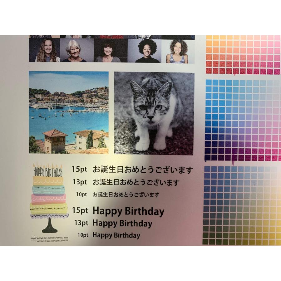 真作】F10 松本忍【静寂の太守】 gallery購入品 表サイン有 共シール