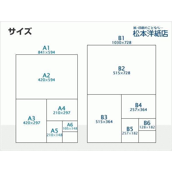 エプソン純正　写真用紙　絹目調　印刷紙　印刷用紙　A3ノビ(329×483)：20枚×4セット　松本洋紙店