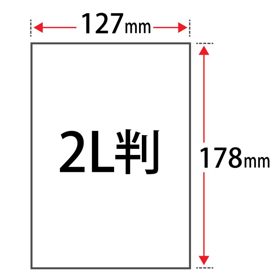 超人気高品質 GEKKO GKN-2L-20-50 2Lサイズ：20枚×50冊 パールラベルシリーズ ラベル、シール用紙