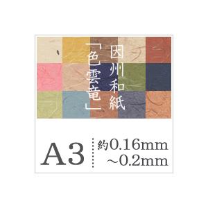 因州和紙 色雲竜 A3サイズ：500枚 印刷紙 印刷用紙 松本洋紙店の画像
