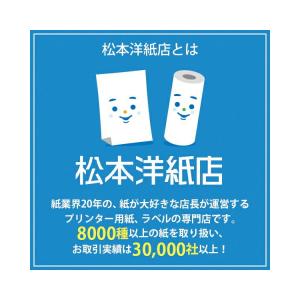 因州和紙 色雲竜 A3サイズ：500枚 印刷紙 印刷用紙 松本洋紙店の画像