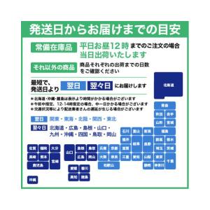 因州和紙 雲竜 A3サイズ：500枚 印刷紙 印刷用紙 松本洋紙店の画像