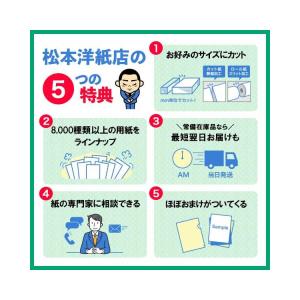 因州和紙 雲竜 A3サイズ：500枚 印刷紙 印刷用紙 松本洋紙店の画像