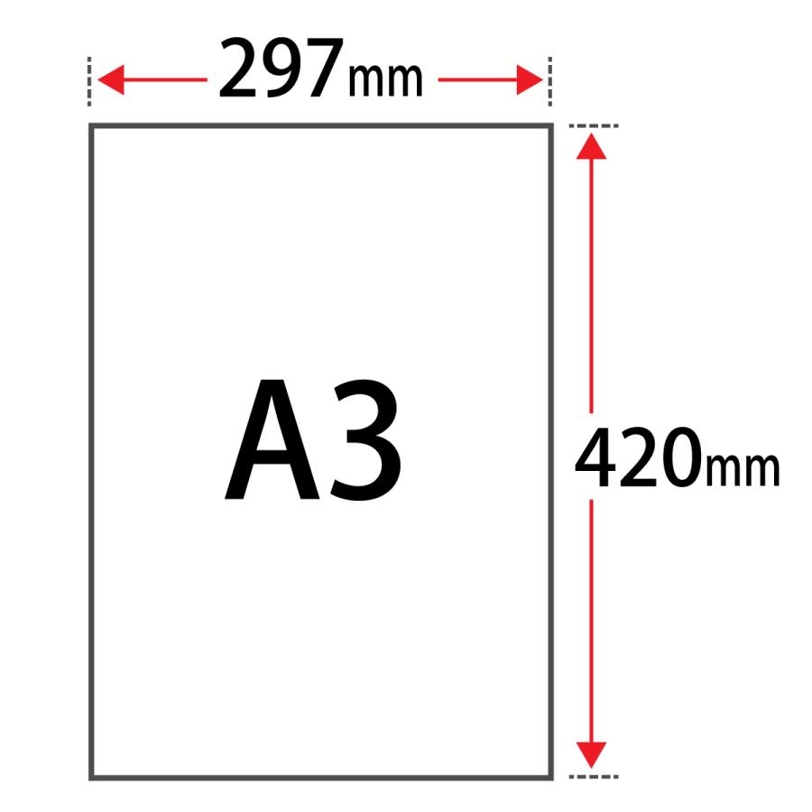 光沢紙　a3　両面印刷　平米　MS光沢紙W　レーザープリンター　写真用紙　A3サイズ：1000枚　裏表　209.4g　コピー用紙