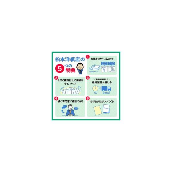 NTラシャ 紙 116g/平米 A3サイズ：250枚 ntラシャ 色 紙厚 印刷 用紙