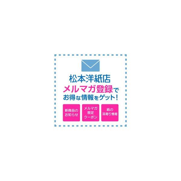 NTラシャ 紙 116g/平米 A3サイズ：250枚 ntラシャ 色 紙厚 印刷 用紙