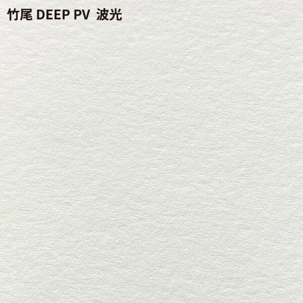 竹尾 DEEP PV 波光 A4サイズ：400枚 竹尾 紙 絵画紙 水彩紙 印刷紙