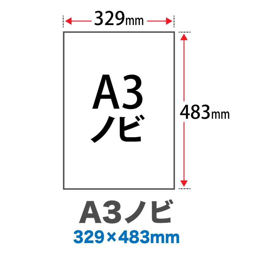 竹尾 DEEP PV モデラトーン アイス A3ノビ 329×483：400枚 竹尾 紙 絵画紙 水彩紙 印刷紙 写真印刷用紙 インクジェット用紙の画像