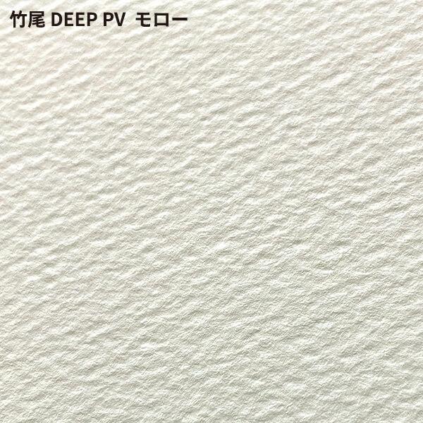 竹尾 DEEP PV モロー A4サイズ：400枚 紙 絵画紙 水彩紙 印刷紙 写真