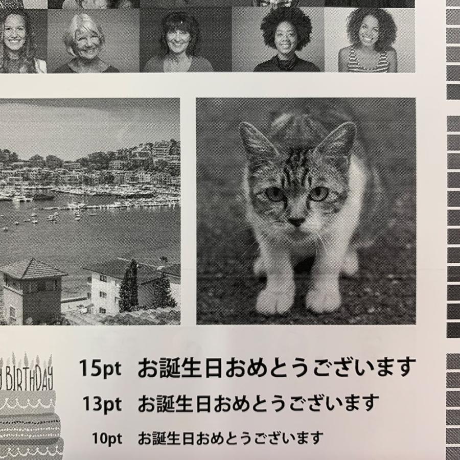 レーザーピーチ A4サイズ：各5枚計10枚 (送料無料) 印刷紙 印刷用紙 松本洋紙店 | ブランド登録なし | 02