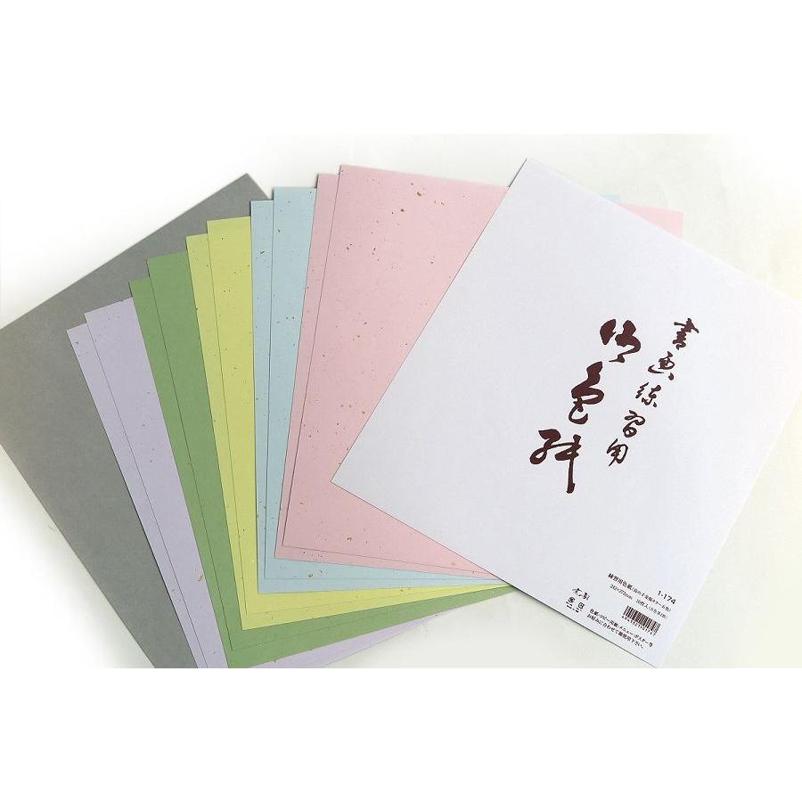 京の象 練習用色紙 カラー砂子入 5色10枚組 ポスト投函配送対応