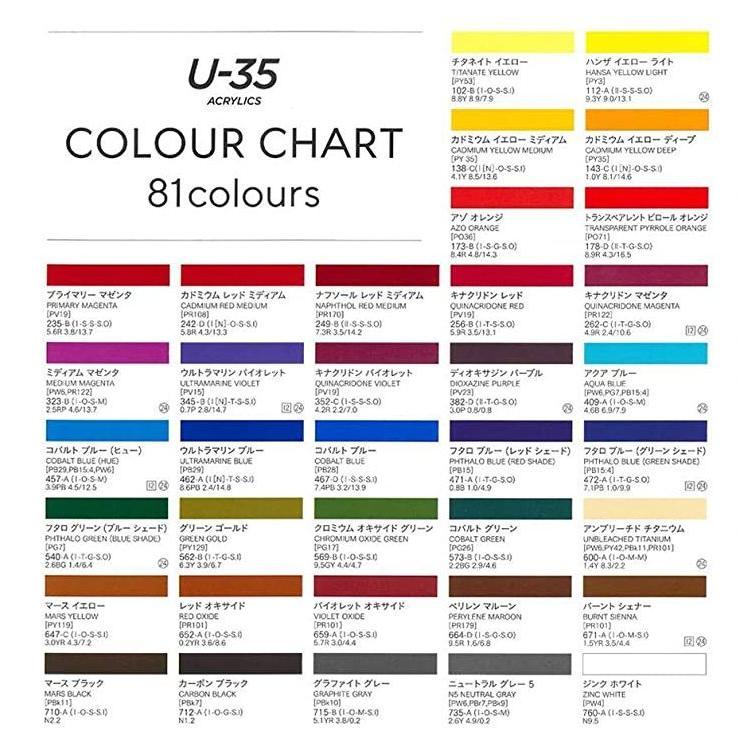 ターナー ターナー色彩 U-35 ACRYLICS アクリル絵具 11mlチューブ・12