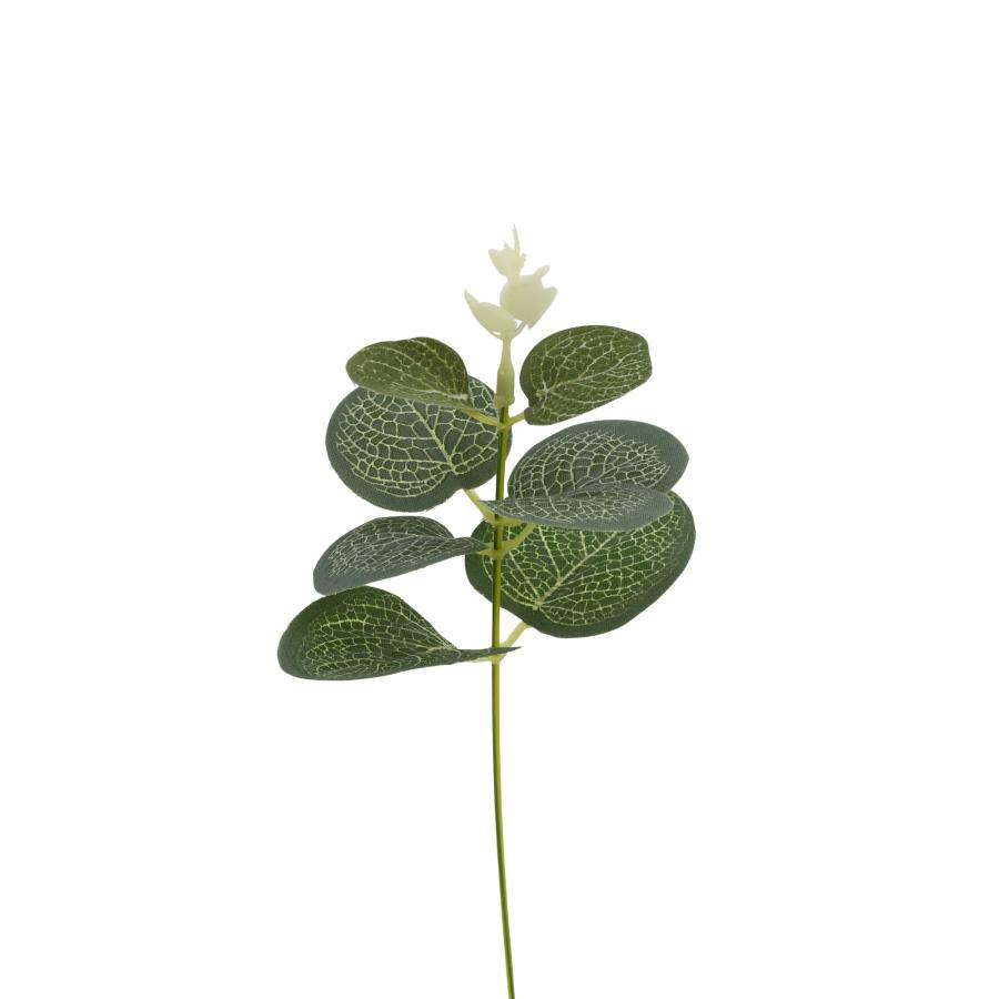 ルークラン APRICUS アプリクス アロマ フォレストフレンズ ディフューザーセット ディープブレス・クリーン＆グリーン香料付（50ml/50ml） 10×34.5×10cmの画像