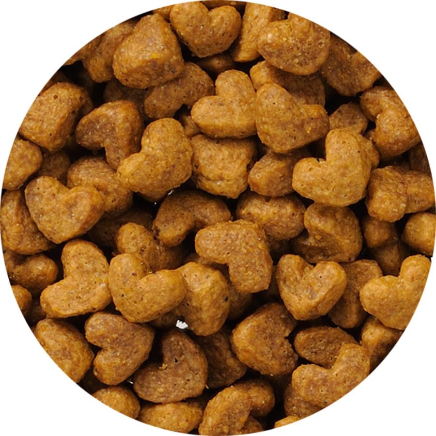 ビューティープロ 猫ドライフード 3042 日本ペットフード キャット