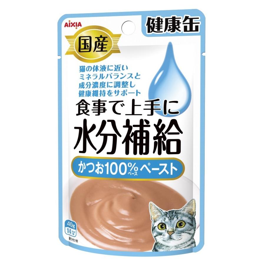 猫ウェットフード　6754 アイシア 健康缶 国産 パウチ 水分補給 かつおペースト 40g 48個入り