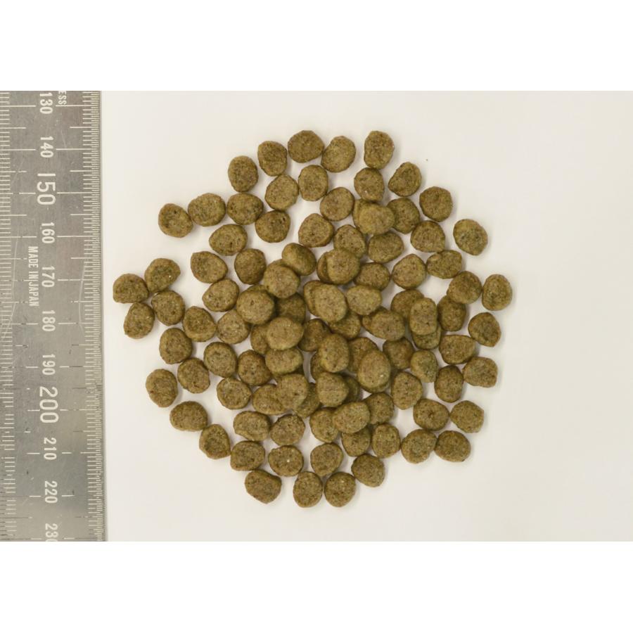 犬用ドライフード 4504 森乳サンワールド スーパーゴールド フィッシュ＆ポテト プラス ライト 肥満・関節の健康に配慮 800g×12セット(9.6kg)_1