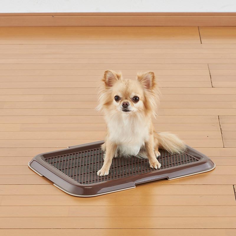 ボンビアルコン 犬用トイレトレー 4002 薄型しつけるトレー S ブラウン