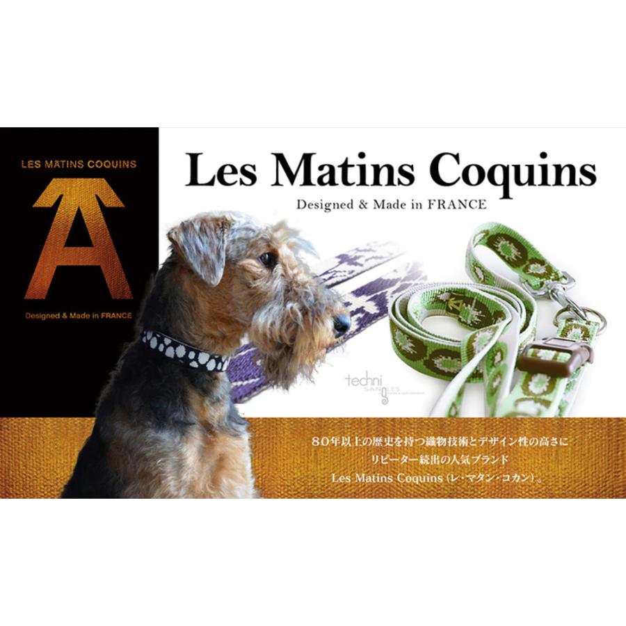 パリで購入フランスブランドWOUPAY赤いレザー犬用リード＆首輪新品タグ付き