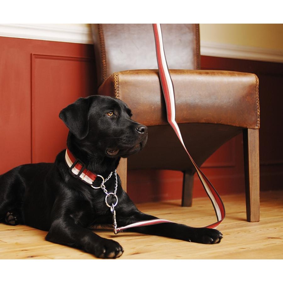 犬用リード レマタンコカン S 高級 フランス製 綺麗 かっこいい