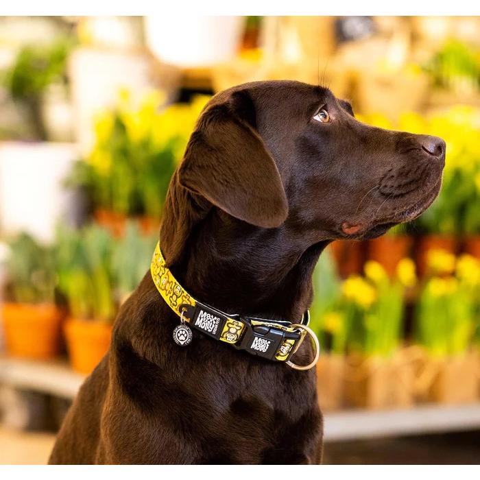 犬用首輪 犬用リード 2点セット お散歩セット マックス