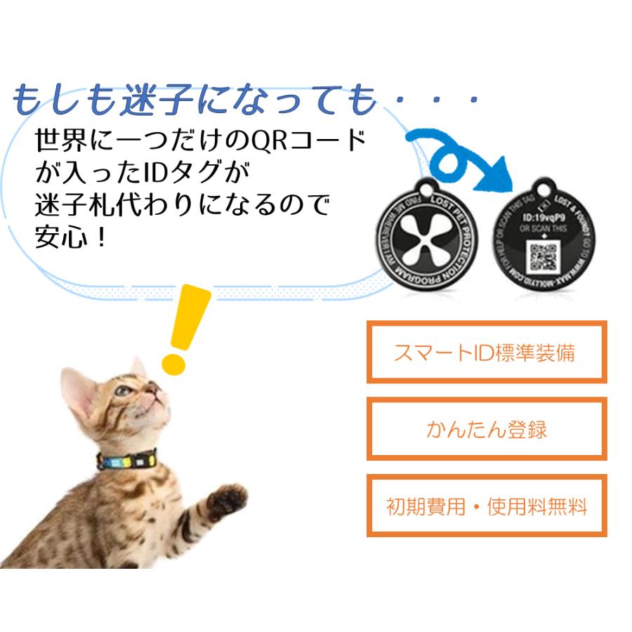 犬用首輪 犬用リード 2点セット お散歩セット マックス＆モーリー XS