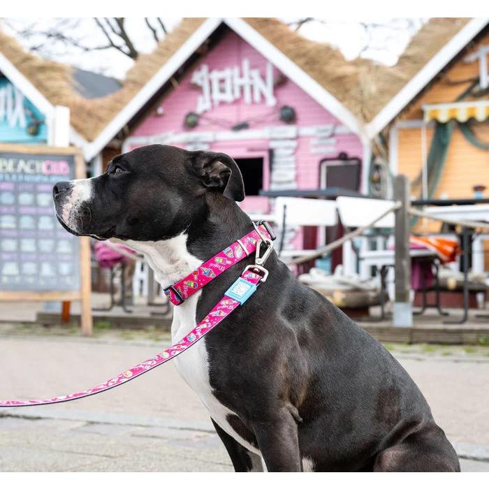 犬用首輪 犬用リード 2点セット お散歩セット マックス＆モーリー XS