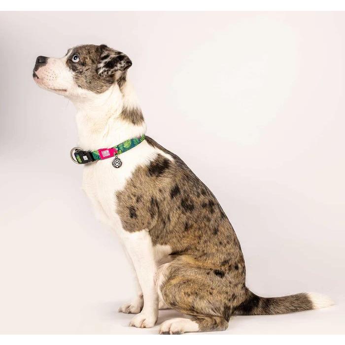 犬用首輪 犬用リード 2点セット お散歩セット マックス