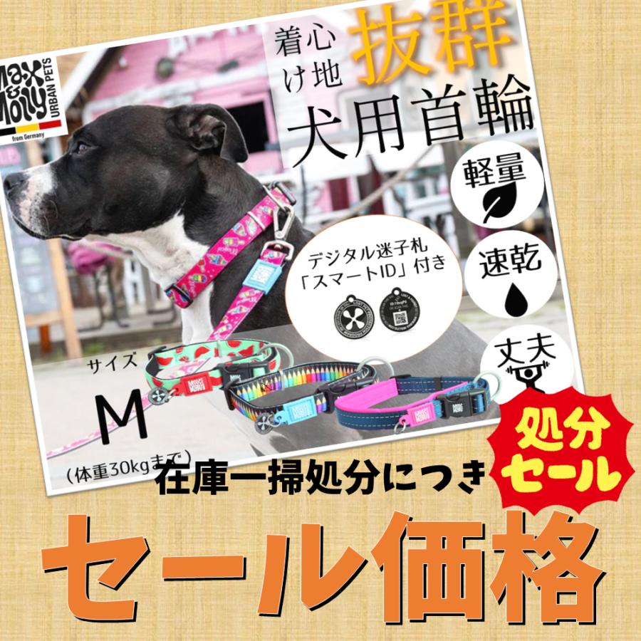 アウトレット特価 犬用首輪 マックス＆モーリー M 丈夫 軽量 速乾 迷子