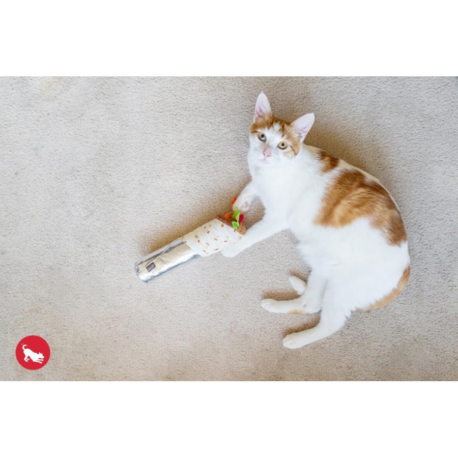 猫用おもちゃ 9855 プレイ フィーラインフレンジー シュリンプブリトー