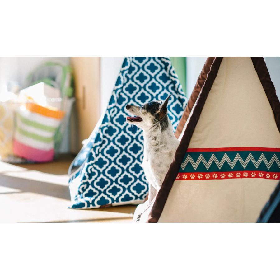 ペットテント 犬 猫 おしゃれ P.L.A.Y プレイ ティピーテント 高級