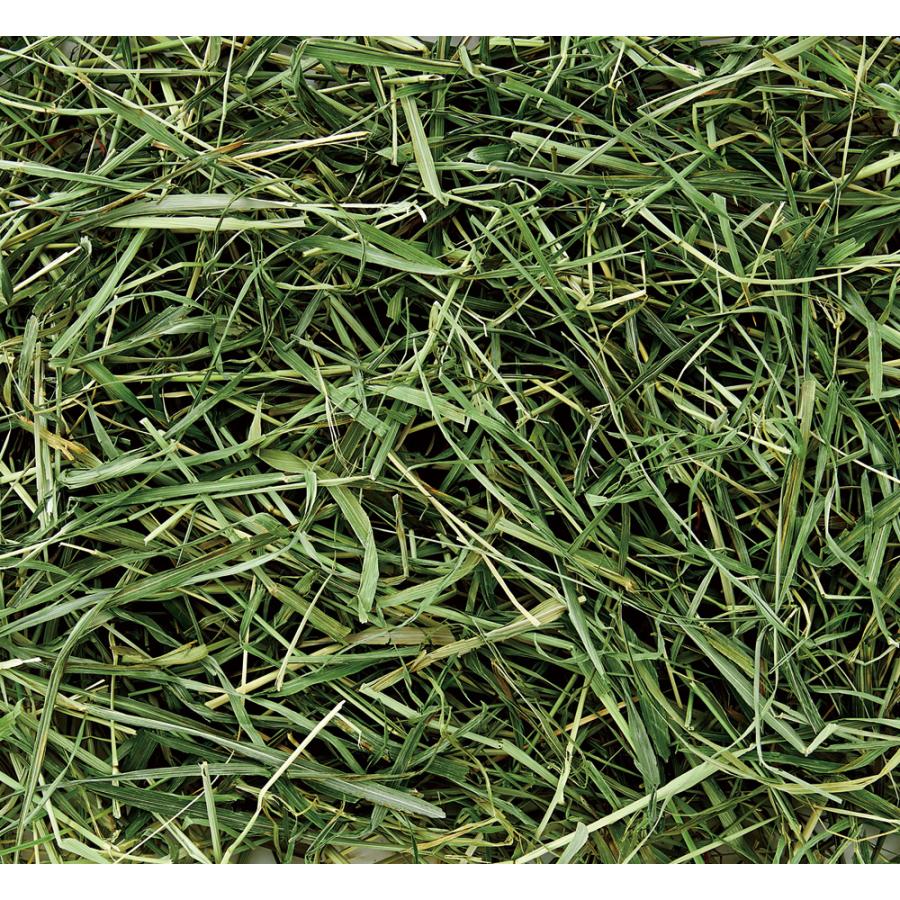 SW マルカン ウサギ用フード 7202 うさぎ元気 バニーグレードチモシー