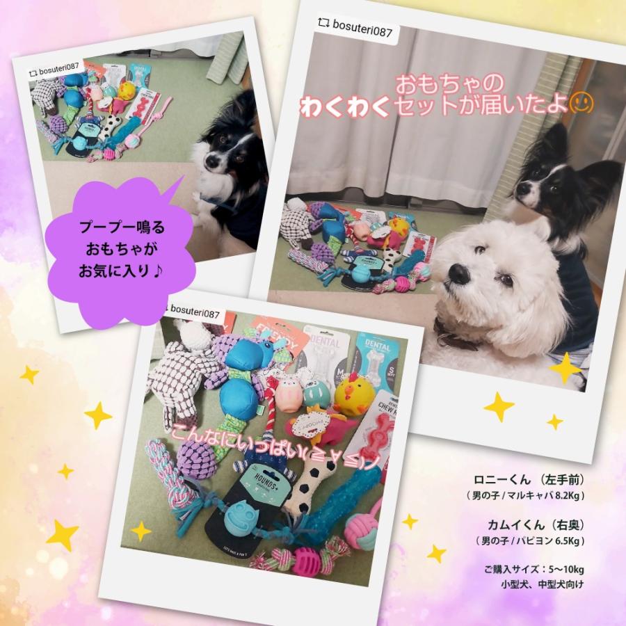 犬のおもちゃ詰め合わせ ルークラン 犬用おもちゃ わくわくセット（アウトレットおもちゃ