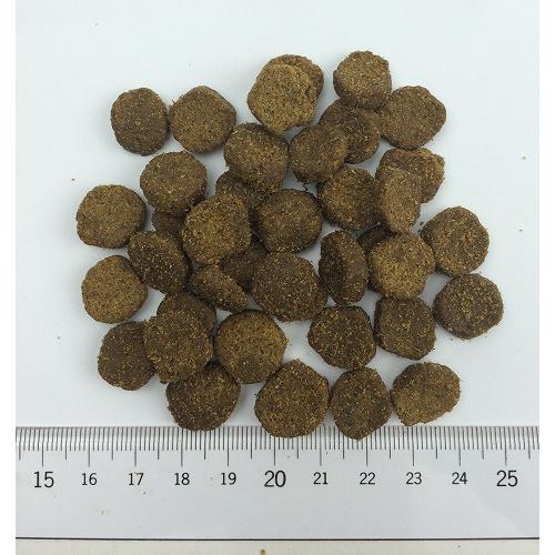 犬ドライフード 00420 (株) ボンビアルコン FM ドッグ オーストラリアンラム 2.3kg×4セット(9.2kg)_1