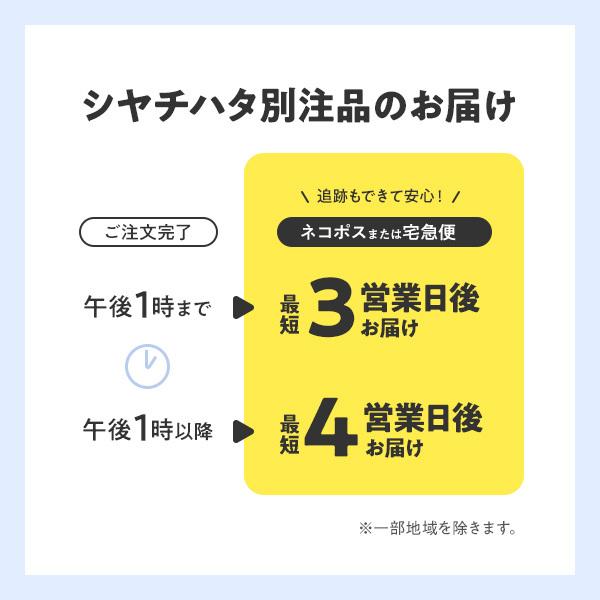 シャチハタ ネーム９ Vivo ブラック 別注品 印鑑 はんこ 送料無料 9.5mm 8書体 認印 ネーム印 6色インク 翌々日出荷 TKV-A2｜papri｜10