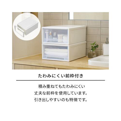 Fits 収納用品 天馬 フィッツケース（収納ケース） 奥行30cmー幅