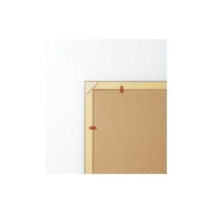 KOKUYO（コクヨ） 額縁 賞状額縁（金ラック） 規格A4 カ-RA4 : 文具