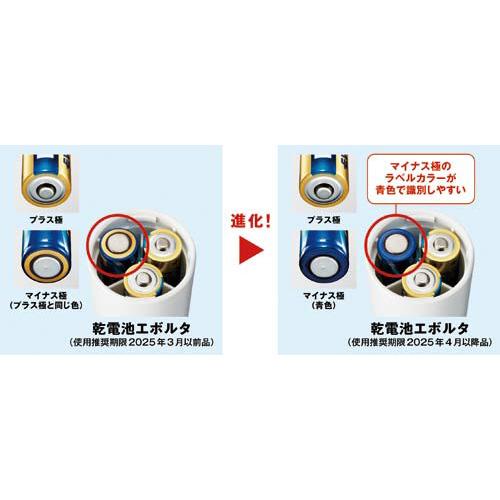 Ｐａｎａｓｏｎｉｃ アルカリ乾電池ＥＶＯＬＴＡ　単３形　１２本入 LR6EJ/12SW｜papyruscompany｜05