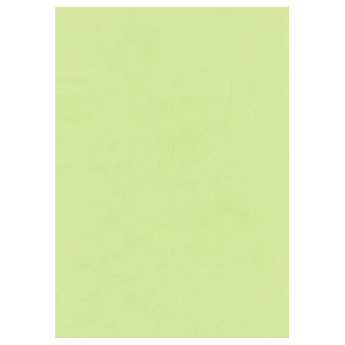 カラーペーパー リサイクルコピー用紙 B4 日本製 業務用5セット 500枚 5冊 北越製紙 グリーン 緑 Pintorabrapp Com Br