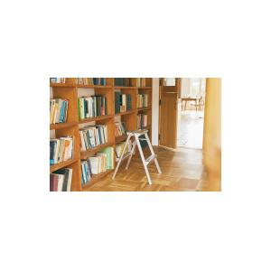 長谷川工業 アルミ踏み台 2段 SE-6A : 文具屋さん - 通販 - Yahoo