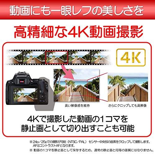 Canon デジタル一眼レフカメラ EOS Kiss X10 標準ズームキット ブラック KISSX10BK-1855ISSTMLK｜papyshop｜07