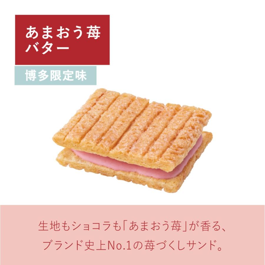シュガーバターの木 オールスター詰合せ 56個入 公式 シュガーバター