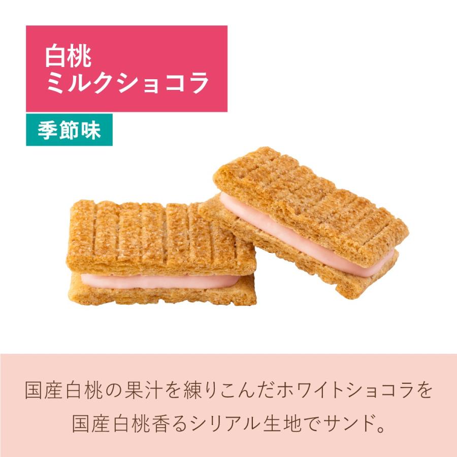 シュガーバターの木 サンドコレクション 12個入 メーカー公式