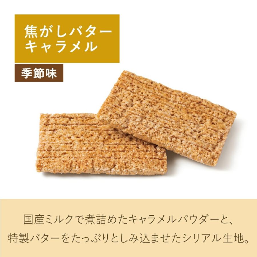 シュガーバターの木 コレクション 46袋入 メーカー公式 シュガーバターサンドの木 個包装 チョコレート お菓子 詰め合わせ ギフト おやつ スイーツ 人気 お土産 | シュガーバターの木 | 13