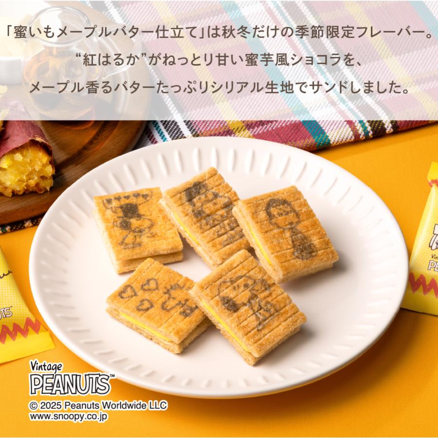 シュガーバターの木 スヌーピー 詰合せ 16個入 PEANUTS ピーナッツ