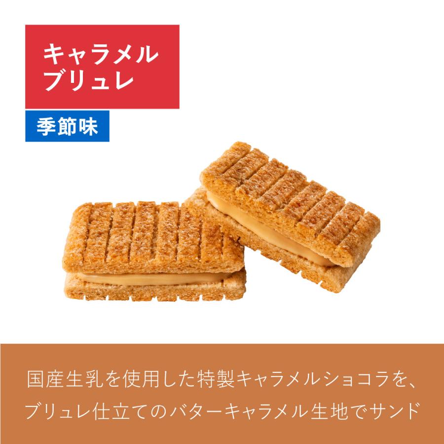 シュガーバターの木 コレクション 56袋入 ギフト お菓子 お返し お取り寄せ おやつ スイーツ お土産 シュガーバターの木 個包装 お礼 公式 詰合せ 挨拶 大量 | シュガーバターの木 | 08