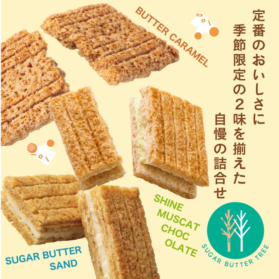 シュガーバターの木 コレクション 45袋入 ギフト プチギフト お菓子